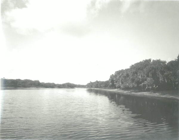 View of the river : Myakka City, Florida