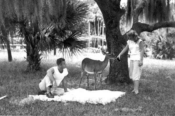 Sharing a soda with a deer