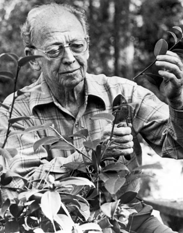 Red Barber in his garden