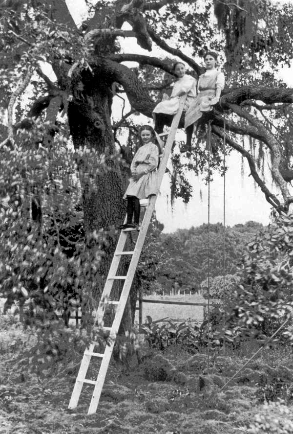 Girls out on a limb - Tallahassee, Florida.