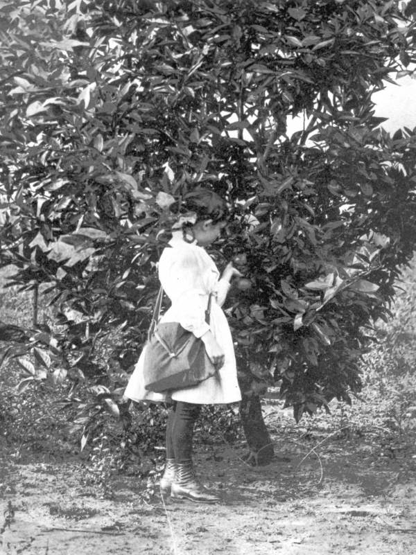 Mary Hays picking on orange before heading to school.