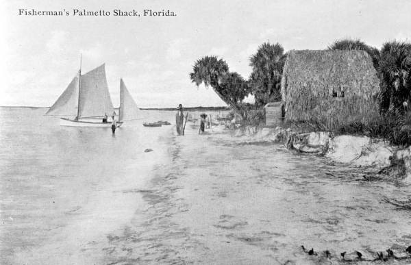 Fisherman's palmetto shack