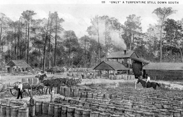 Turpentine still