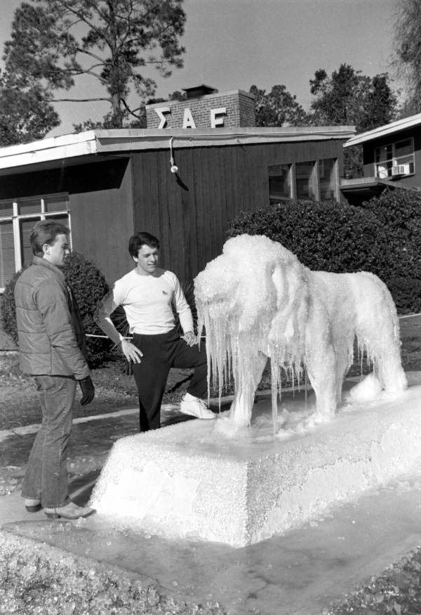 Lion sculpture covered in ice in front of Sigma Alpha Epsilon fraternity house at FSU in Tallahassee.