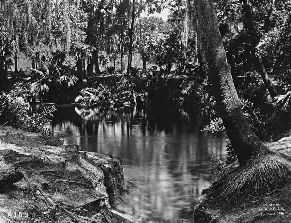 Blue Springs - Volusia County, Florida