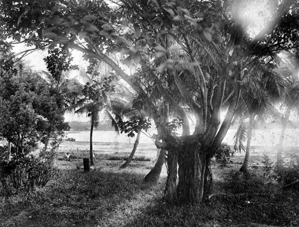 Burkhardt home grounds