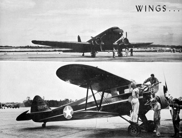 Wings for defense - Tallahassee, Florida