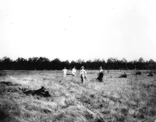 Land being cleared in South Farm - Okaloosa County, Florida