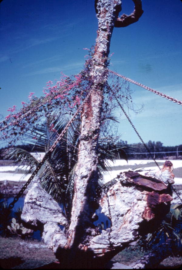 Anchor and cannon from a Spanish Galleon sunken in the Keys - Florida Keys, Florida.