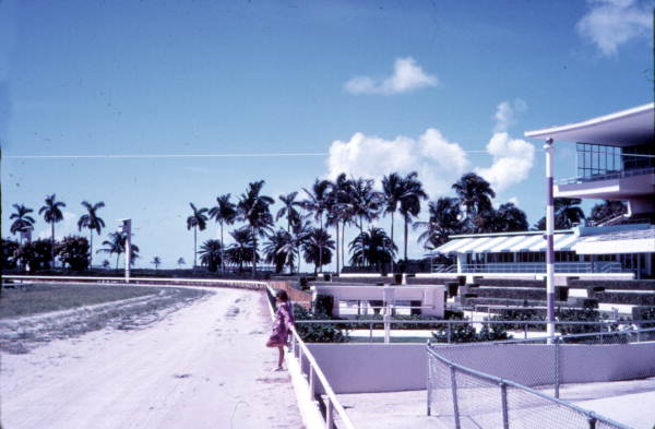Horse's eye view of the Gulfstream Park finish line - Hallendale Beach, Florida