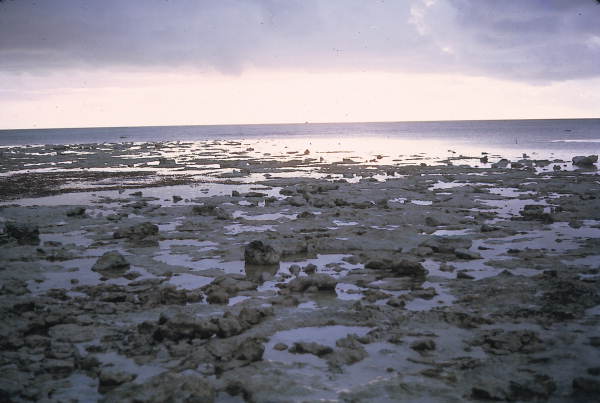 Low tide in the Florida Keys