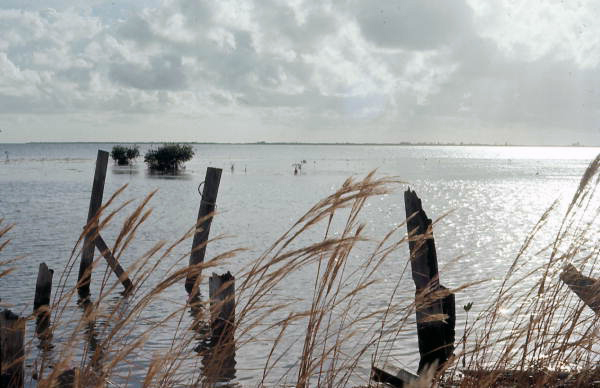 View of the water - Card Sound, Florida