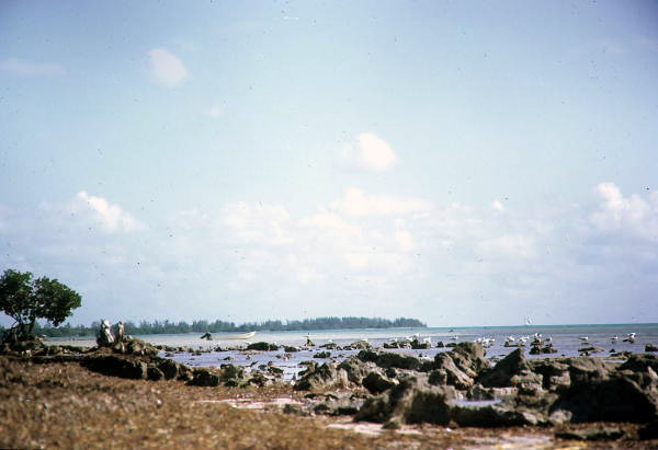 Seashore at Long Key State Park