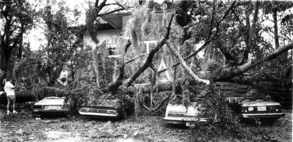 Hurricane Kate damaged cars - Tallahassee, Florida .
