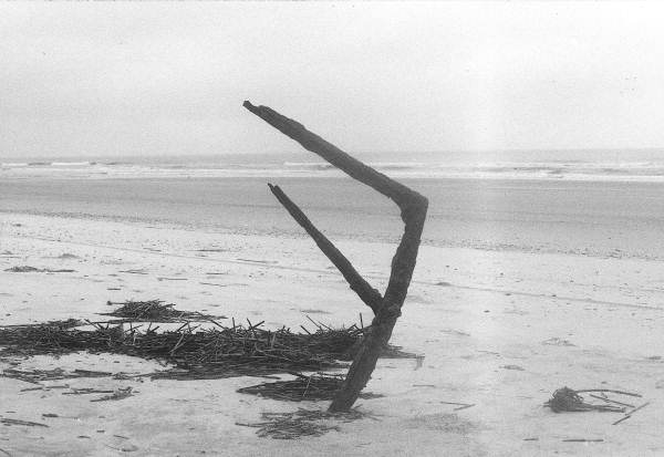 Rib of a 19th century ship on the beach - Little Talbot Island, Florida .