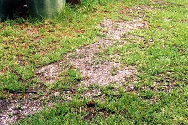 Native American shell midden on south-west end of Big Talbot Island State Park - Jacksonville, Florida .