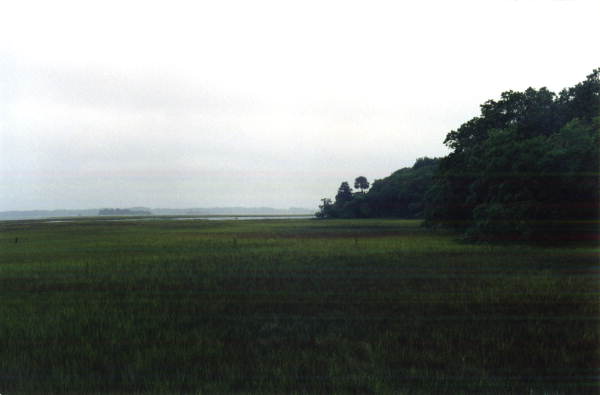 Marshes at Big Talbot Island State Park - Jacksonville, Florida .