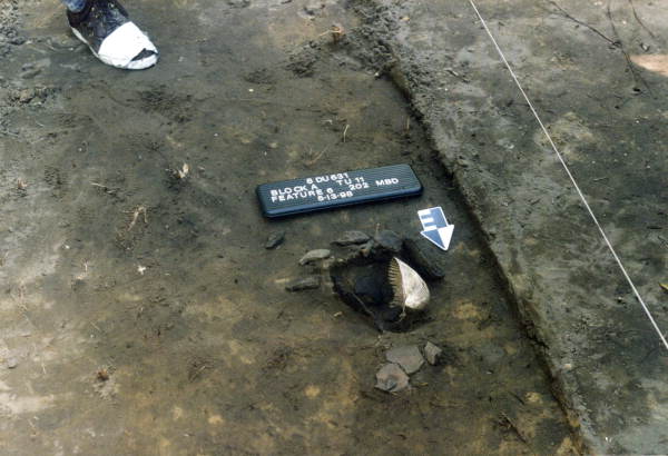 Remains of a ceramic vessel and shell dipper being uncovered at Big Talbot Island State Park.