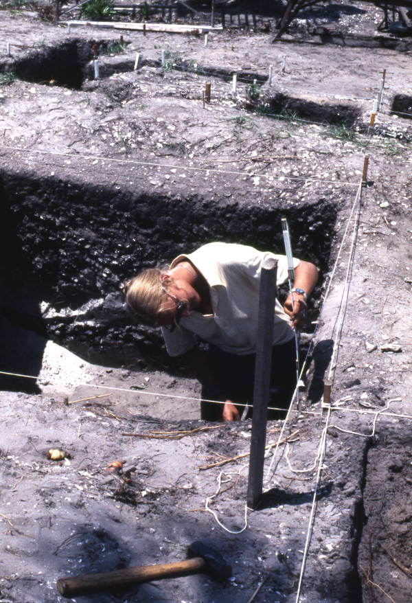 Excavation at Warm Mineral Springs.