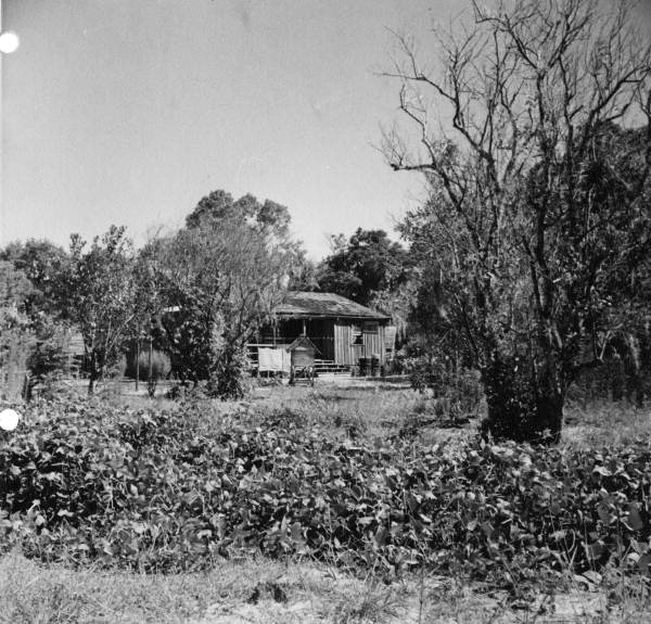 Farm building at Baxter Place.