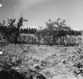 Crop fields at Baxter Place