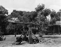 Farm house and sugar cane grinders