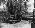 Farm buildings at Baxter home