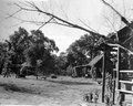 Farm location for the motion picture "The Yearling"