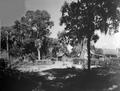 Farm location for "The Yearling" motion picture
