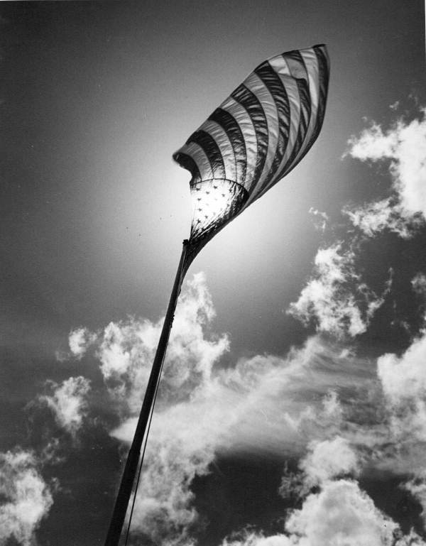 Old Glory Lilly - Jacksonville, Florida