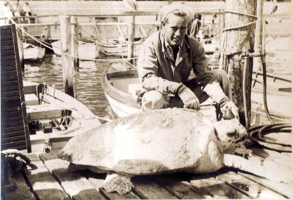 Jerry Black posing with sea turtle at Layton's Park - Riviera Beach, Florida.