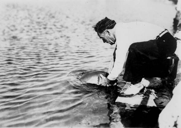 Paul Nasquey petting a bass.
