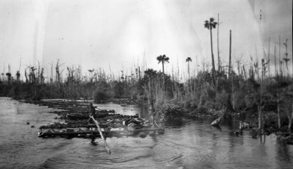 View showing a raft of logs on a Putnam County river.