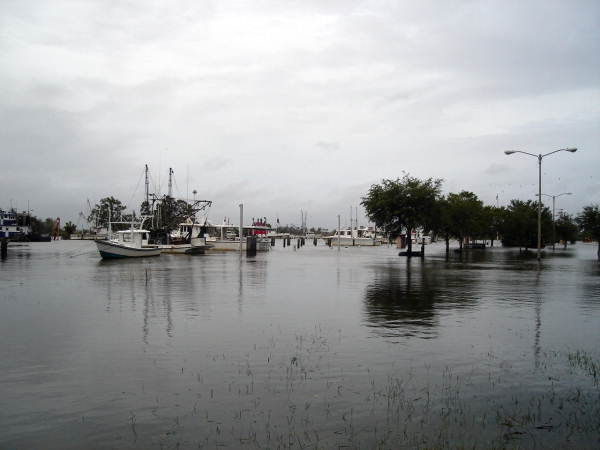 Marina in Apalachicola flooded during Hurricane Dennis.