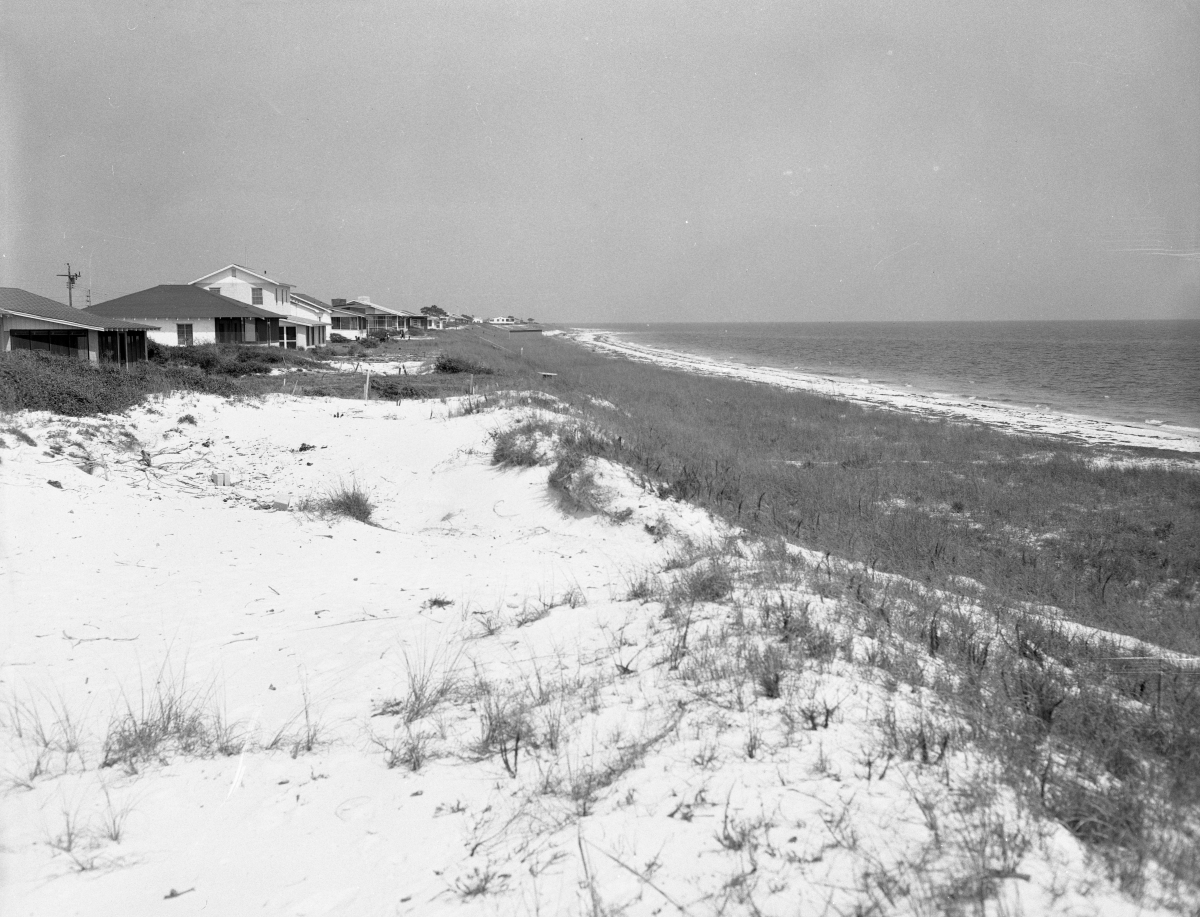 Alligator Point