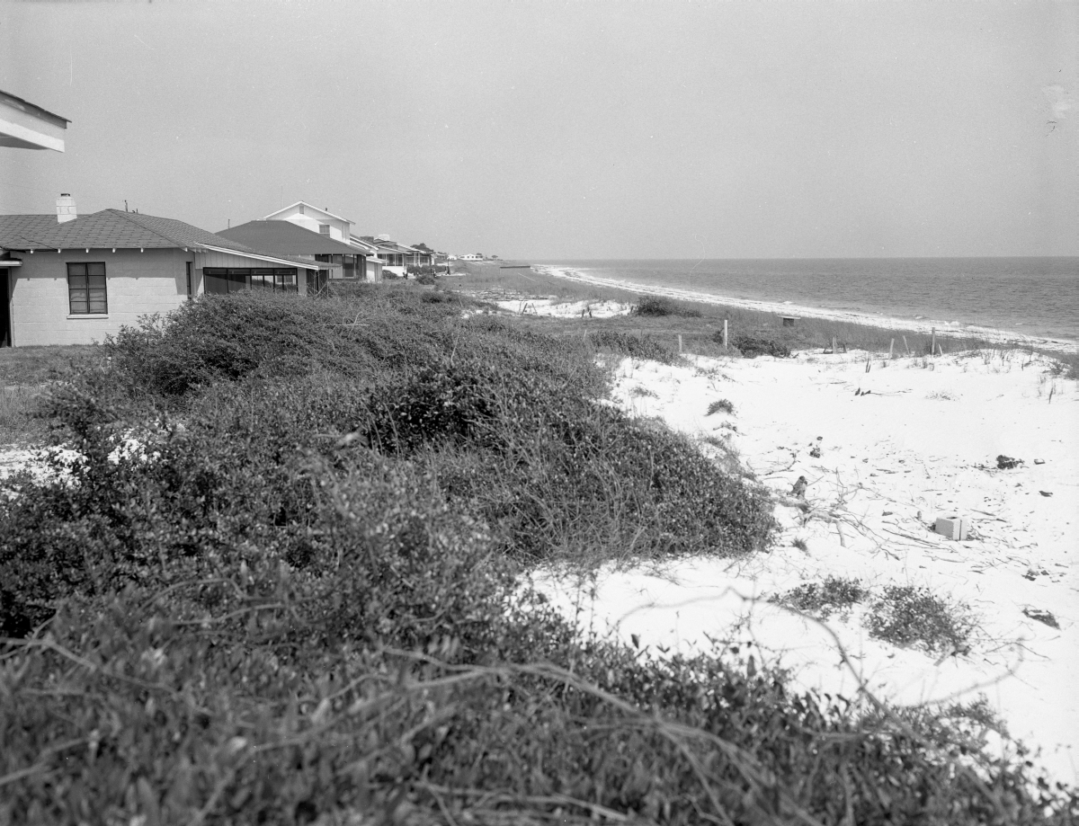 Alligator Point