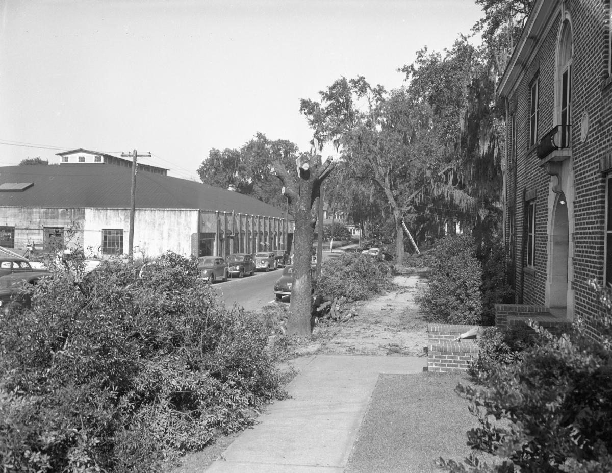 Looking north on Calhoun St. showing commercial buildings in Tallahassee.