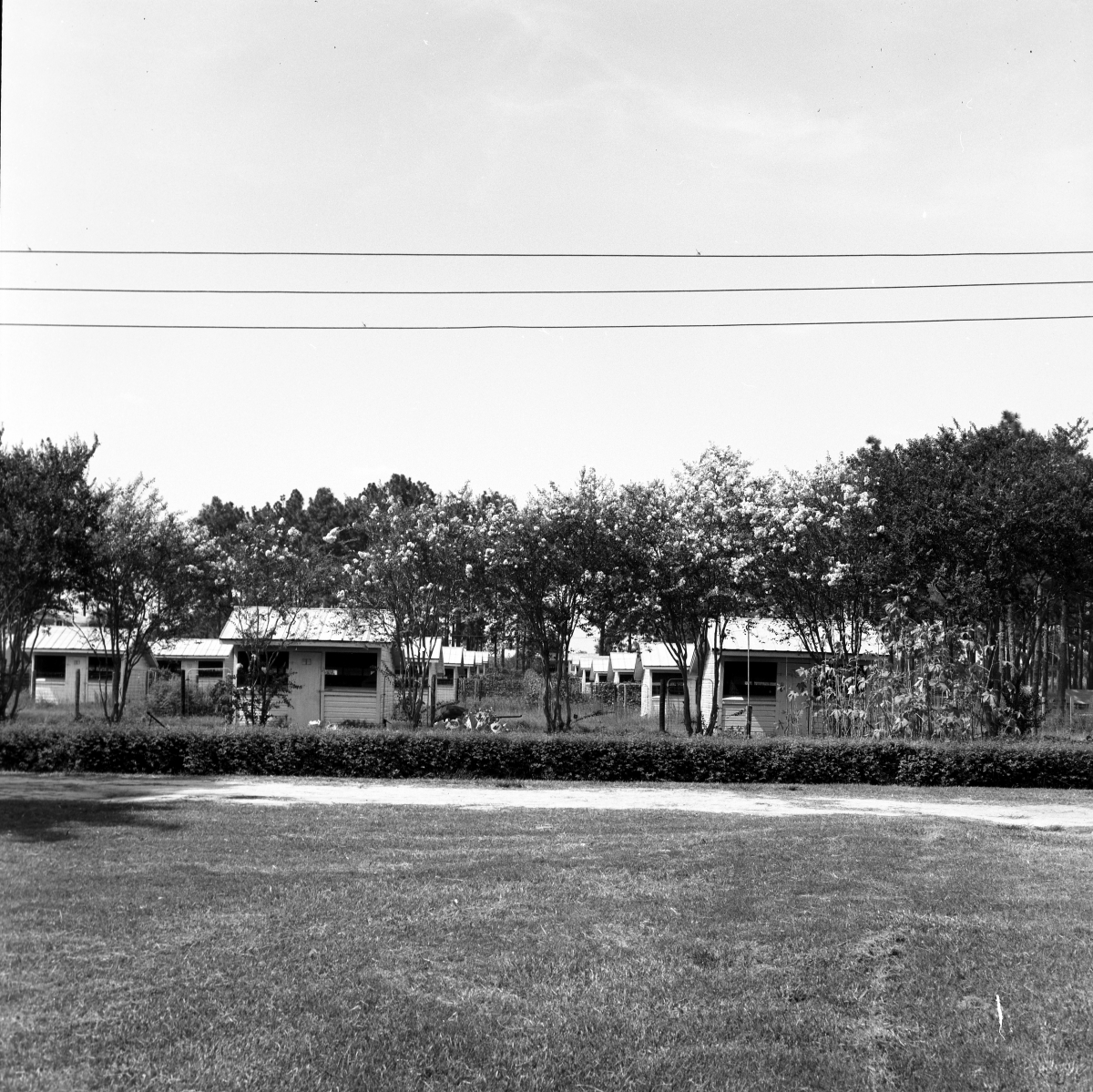 Poultry houses in Chipley