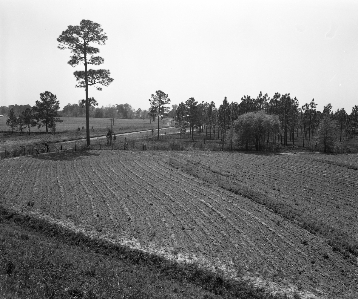 Plowed field