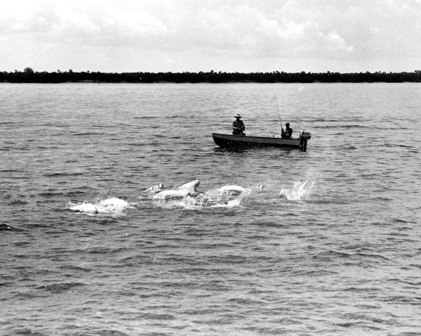 Two fishermen tarpon fishing on Tampa Bay.