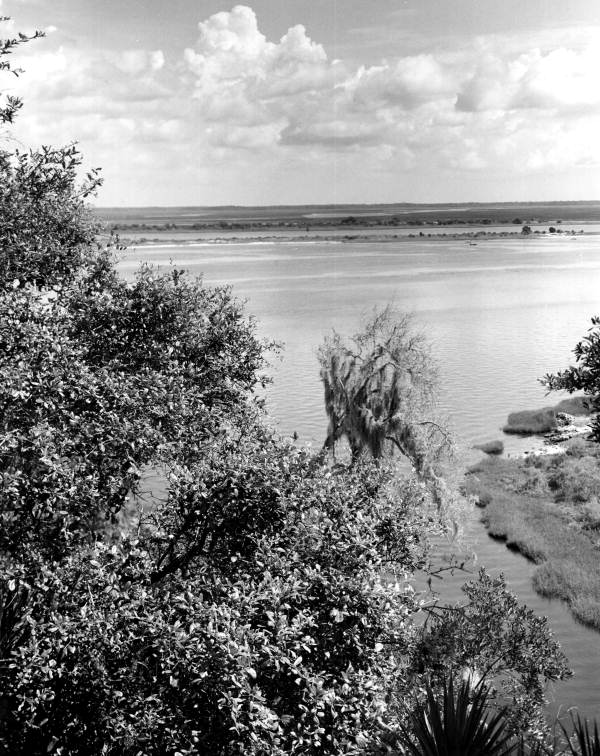 View of the St. Johns River seen from the Fort Caroline National Memorial - Jacksonville, Florida.