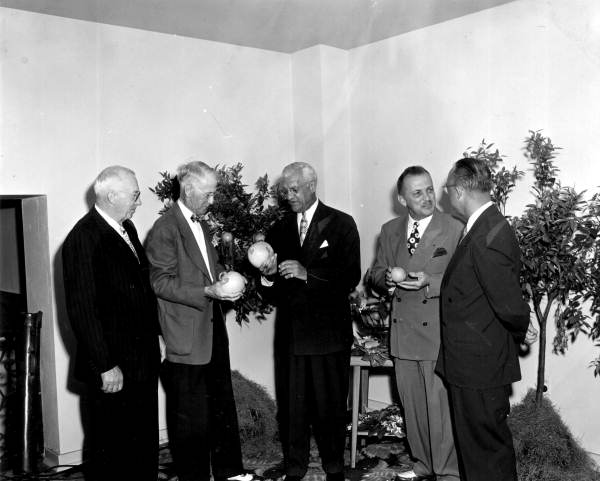 Men attending a dinner with the Governor - Tampa, Florida.