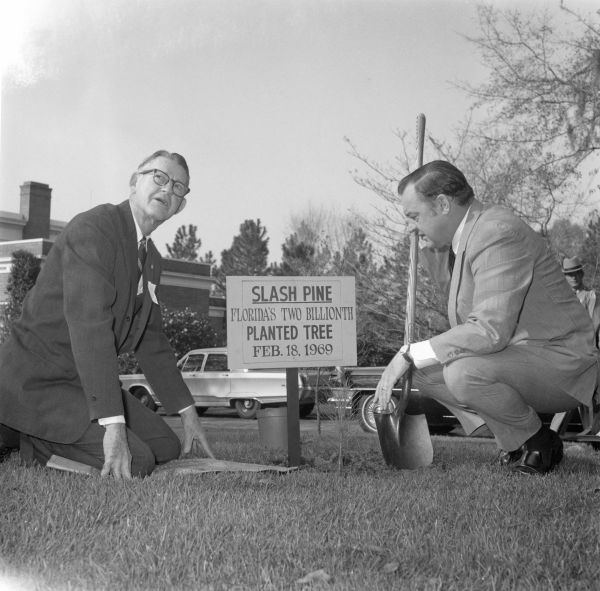 State Forester Hux Coulter helping Governor Kirk plant the 2 billionth slash pine - Tallahassee, Florida.