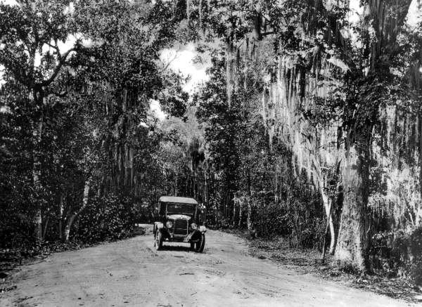Automobile on a 'drive to golf links' - Bay County, Florida