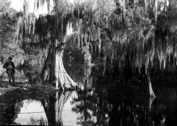 Man fishing in the quiet Prairie Creek - Alachua County, Florida