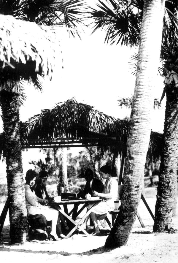 People drinking tea on the beach - Venice, Florida.