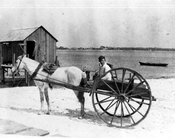 Louie sitting in his horse-drawn cart at Mayport.