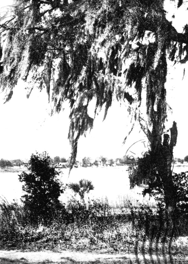 View of Lake Eola - Orlando, Florida.