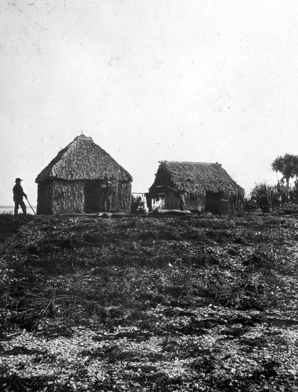 Palmetto thatched hut houses