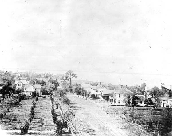 View of homes - Eustis, Florida